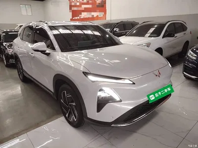 2024 Wuling Motors Wuling Xingguang S 510km Navigation Edition, фото 4, лот 11205682