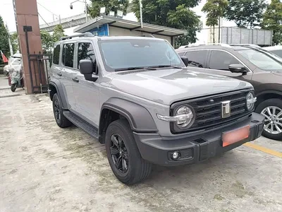 2024 Tank 300 Model 2.0T Challenger, фото 4, лот 10345430