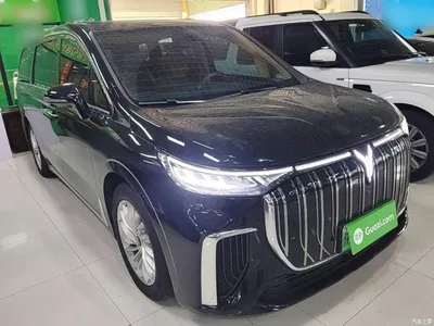 2024 Voyah Auto Voyah Dreamer EV Long Range Excellence Edition, фото 4, лот 10350256