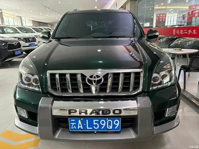 2009 Toyota Land Cruiser Prado, фото 1, лот 10385951