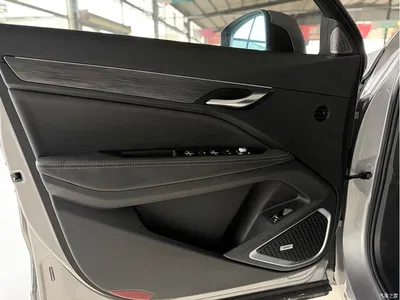 2020 Geely Xingyue High Energy Edition 300T Shining Star, фото 4, лот 10303445