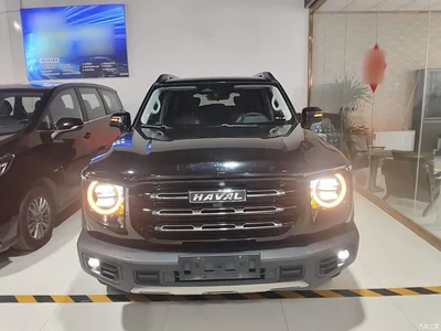 2022 Haval Big Dog 1.5T DCT FWD Border Collie Edition, фото 3, лот 11067610