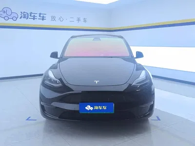 2021 Tesla Model Y Standard Range Rear-Wheel Drive, фото 2, лот 10768921