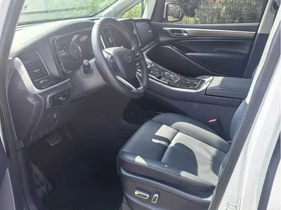 2024 GAC Trumpchi Trumpchi M8 Leadershow Series 390T Luxury Edition, фото 4, лот 10418675