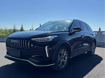 2022 Haval Chitu Power Edition 1.5T Purple Copper Rabbit, фото 1, лот 10298920
