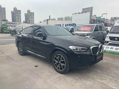 2022 BMW X4 xDrive 25i M Sport Package, фото 3, лот 10476977