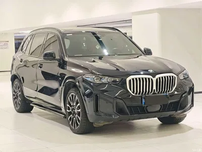 2023 BMW X5 xDrive 40Li M Sport Black Night Package, фото 2, лот 10517459