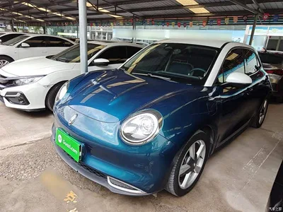 2021 Ora Good Cat 500km Long Range Poseidon Edition (NMC), фото 2, лот 10330790