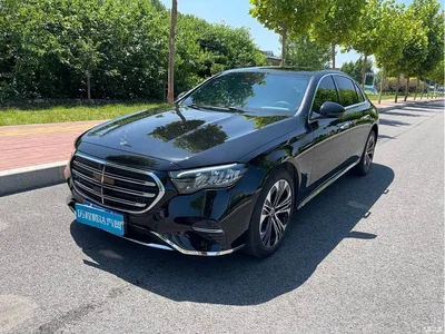 2025 Mercedes-Benz E-Class E 300 L Luxury, фото 1, лот 10266914