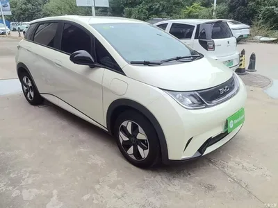 2025 BYD Dolphin 420km Freedom Edition, фото 4, лот 10612146