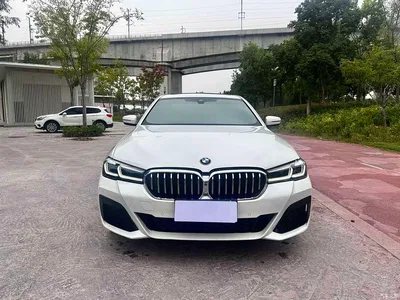 2021 BMW 5 Series 530Li Leading M Sport Package, фото 2, лот 11141534