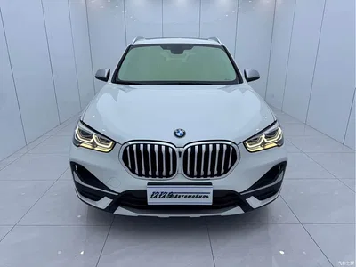 2022 BMW X1 sDrive20Li Premium, фото 2, лот 10999547