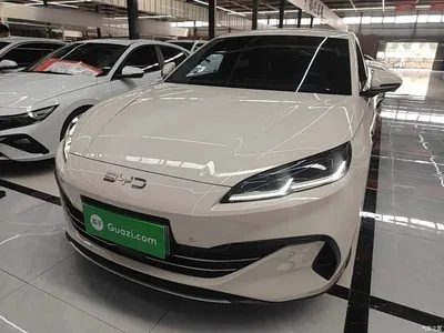 2025 BYD Seal 06 New Energy DM-i Smart Drive 80KM Luxury, фото 2, лот 10272608