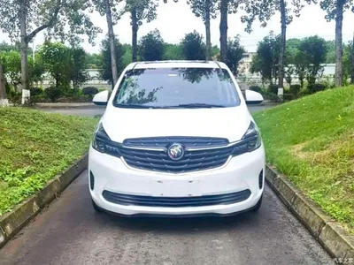 2021 Buick GL8 Land Business Class 652T Luxury, фото 2, лот 11448352