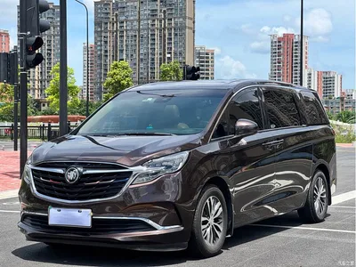 2021 Buick GL8 ES Landlord 653T Luxury, фото 1, лот 10257834