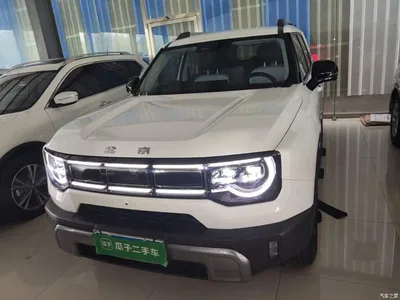 2024 BAIC ORV Beijing Off-Road BJ30 1.5T Magic Core Electric Drive Advanced Edition, фото 3, лот 10827647