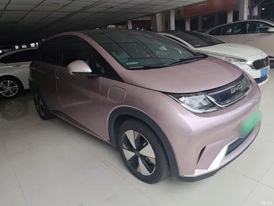 2023 BYD Dolphin 420km Fashion Edition, фото 4, лот 10593997