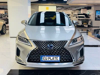 2020 Lexus RX 450h 4WD Luxury Edition China VI, фото 2, лот 10314064