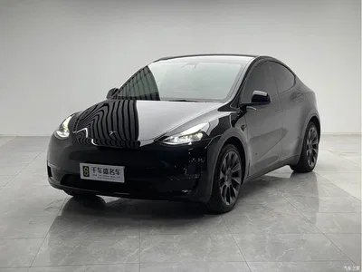 2021 Tesla Model Y Standard Range Rear-Wheel Drive, фото 1, лот 11095877