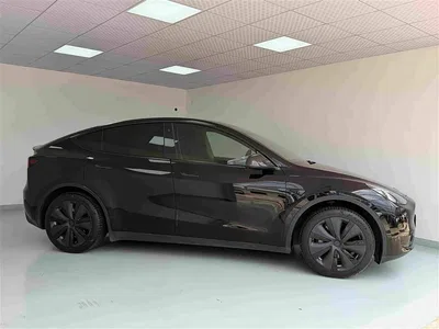 2022 Tesla Model Y Rear-Wheel Drive Version, фото 3, лот 10455061