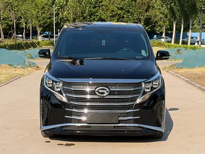 2023 GAC Trumpchi Trumpchi M8 Leading Series 390T Luxury Edition, фото 2, лот 10416410