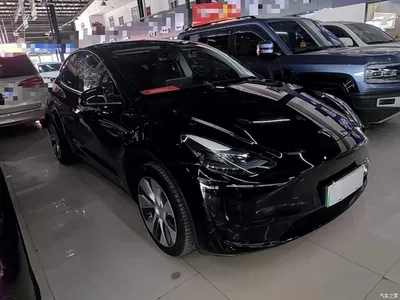 2022 Tesla Model Y Facelift Rear-Wheel Drive Version, фото 4, лот 10370192
