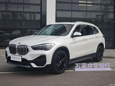 2020 BMW X1 sDrive20Li Fashion Model, фото 1, лот 10954678