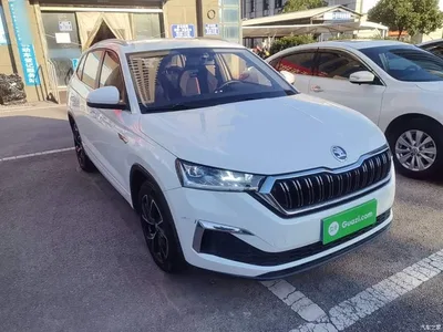 2020 Škoda Kamiq Facelift GT 1.5L Automatic Flagship China VI, фото 4, лот 11569994