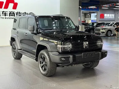 2021 Tank 300 Off-road Version 2.0T Conqueror, фото 3, лот 10344991