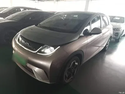 2021 BYD Dolphin Model 405km Fashion Edition, фото 2, лот 10263961