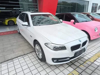 2014 BMW 5 Series 520Li Elegance, фото 4, лот 11012295