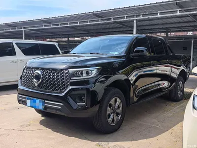 2024 Great Wall Pao Model 2.4T Commercial Version Automatic Diesel 2WD Elite Type, фото 1, лот 10612144
