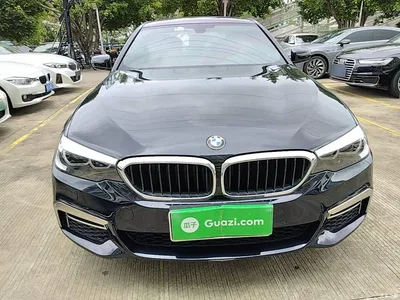 2018 BMW 5 Series 530Li Leading M Sport Package, фото 3, лот 10444092