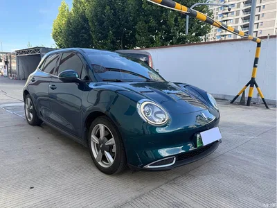 2021 Ora Good Cat 400km Standard Range Official Version (LFP), фото 3, лот 10331529