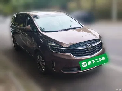2020 Buick GL8 Land Business Class 652T Premium, фото 4, лот 11187589