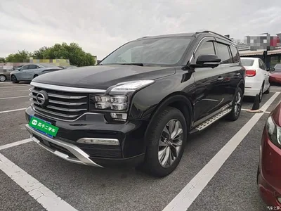 2017 GAC Trumpchi Trumpchi GS8 320T 2WD Luxury Smart Connect (7-seater), фото 2, лот 10315676