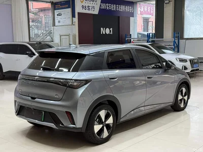 2023 BYD Dolphin 420km Freedom Edition, фото 4, лот 10251967
