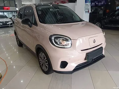 2021 Leapmotor T03 400 Luxury Edition, фото 4, лот 11502876
