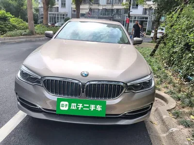 2019 BMW 5 Series New Energy 530Le Luxury Package, фото 3, лот 11136213
