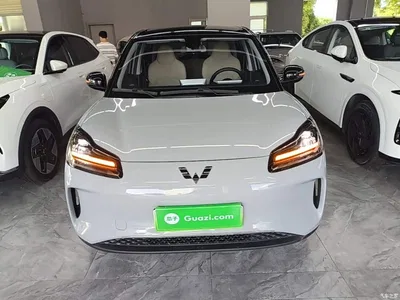 2024 Wuling Motors Wuling Binguo PLUS 401km Range 5-seater, фото 3, лот 10836066