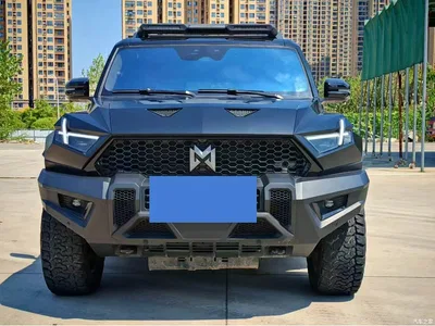 2023 Mengshi 917 Extended Range Base Version, фото 2, лот 11645960