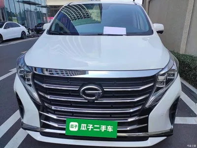 2021 GAC Trumpchi Trumpchi M8 Leading Show Series 390T Ultimate Edition, фото 3, лот 10808217