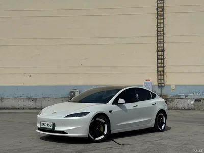 2025 Tesla Model 3 Model Rear-Wheel Drive Edition, фото 1, лот 10366809