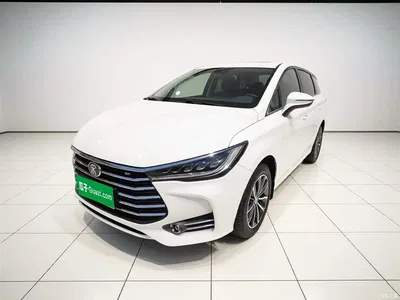2019 BYD Song MAX 1.5T Auto Smart Connected Sunroof 6-seater China VI, фото 1, лот 10273701