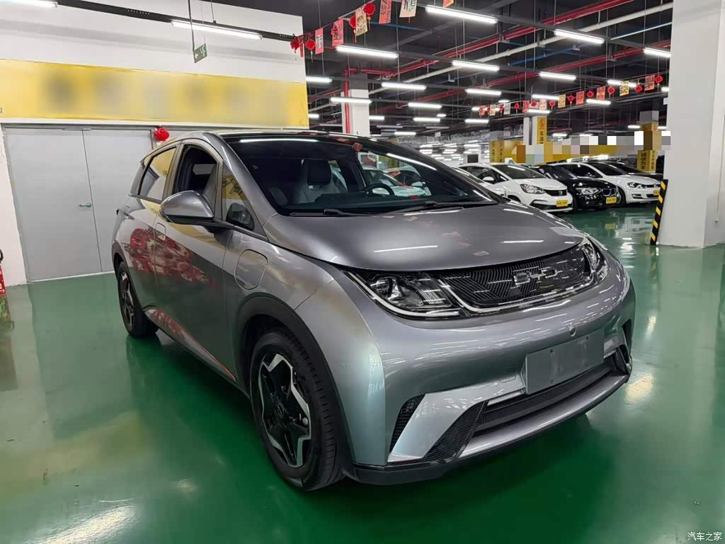 2021 BYD Dolphin Model 405km Fashion Edition, фото 4, лот 11211606