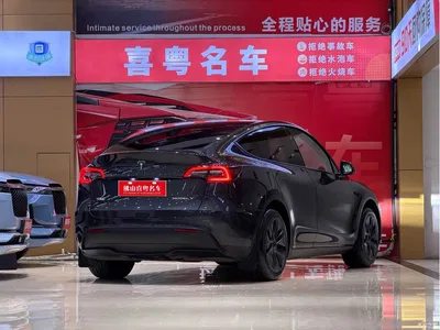 2024 Tesla Model Y Rear-Wheel Drive Version, фото 2, лот 10907022