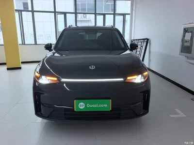 2024 Leapmotor C16 Extended Range 200 Premium Edition, фото 3, лот 11133336