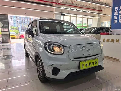 2021 Leapmotor T03 400 Luxury Edition, фото 3, лот 10316698