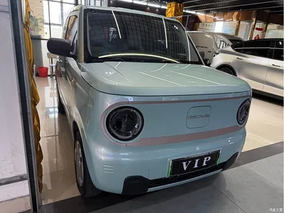 2023 Geely Galaxy Panda Mini 200km Endurance Bear, фото 3, лот 10428796