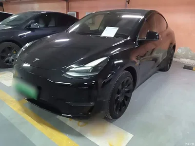 2021 Tesla Model Y Long Range All-Wheel Drive 3D7, фото 1, лот 10455420